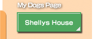 Shellys House